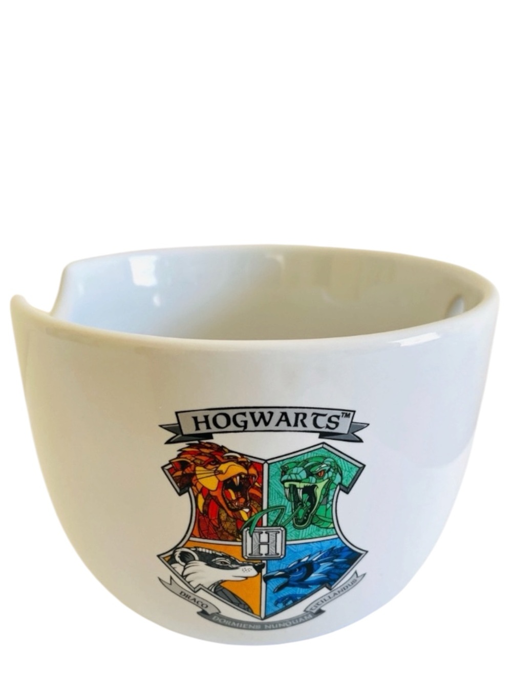Harry Potter Hogwarts 20 oz Ceramic Ramen Bowl Dark Academia Fantasy Magical